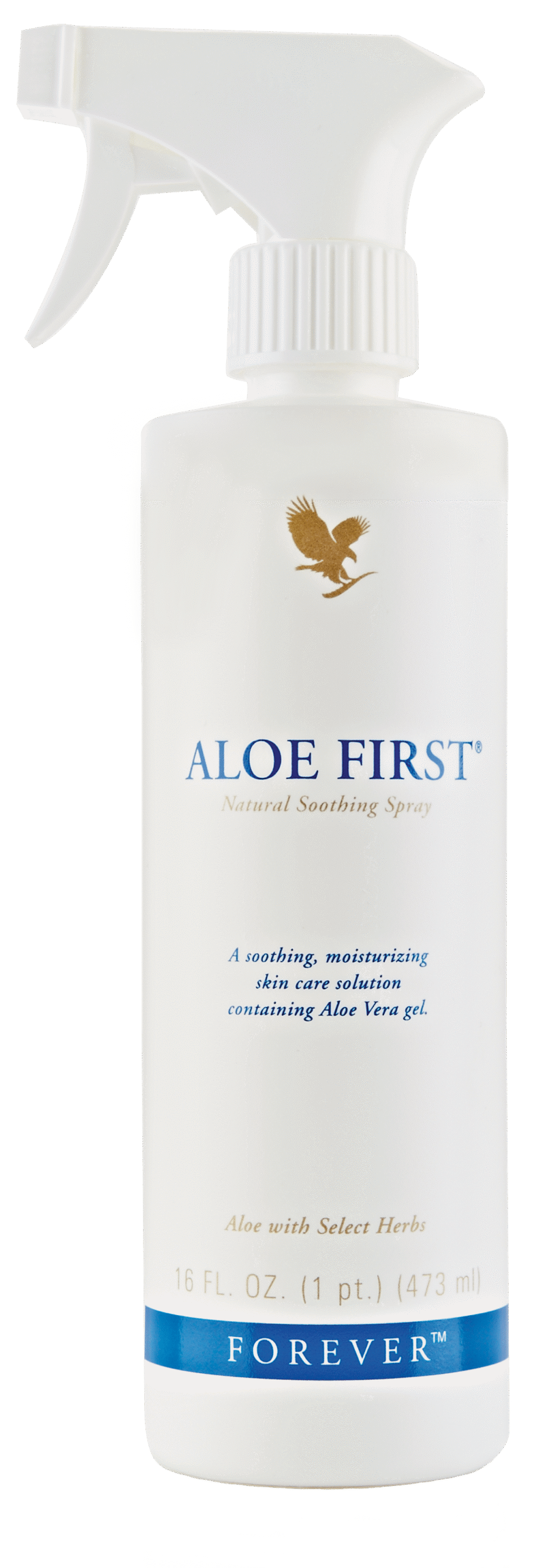 040_AloeFirst