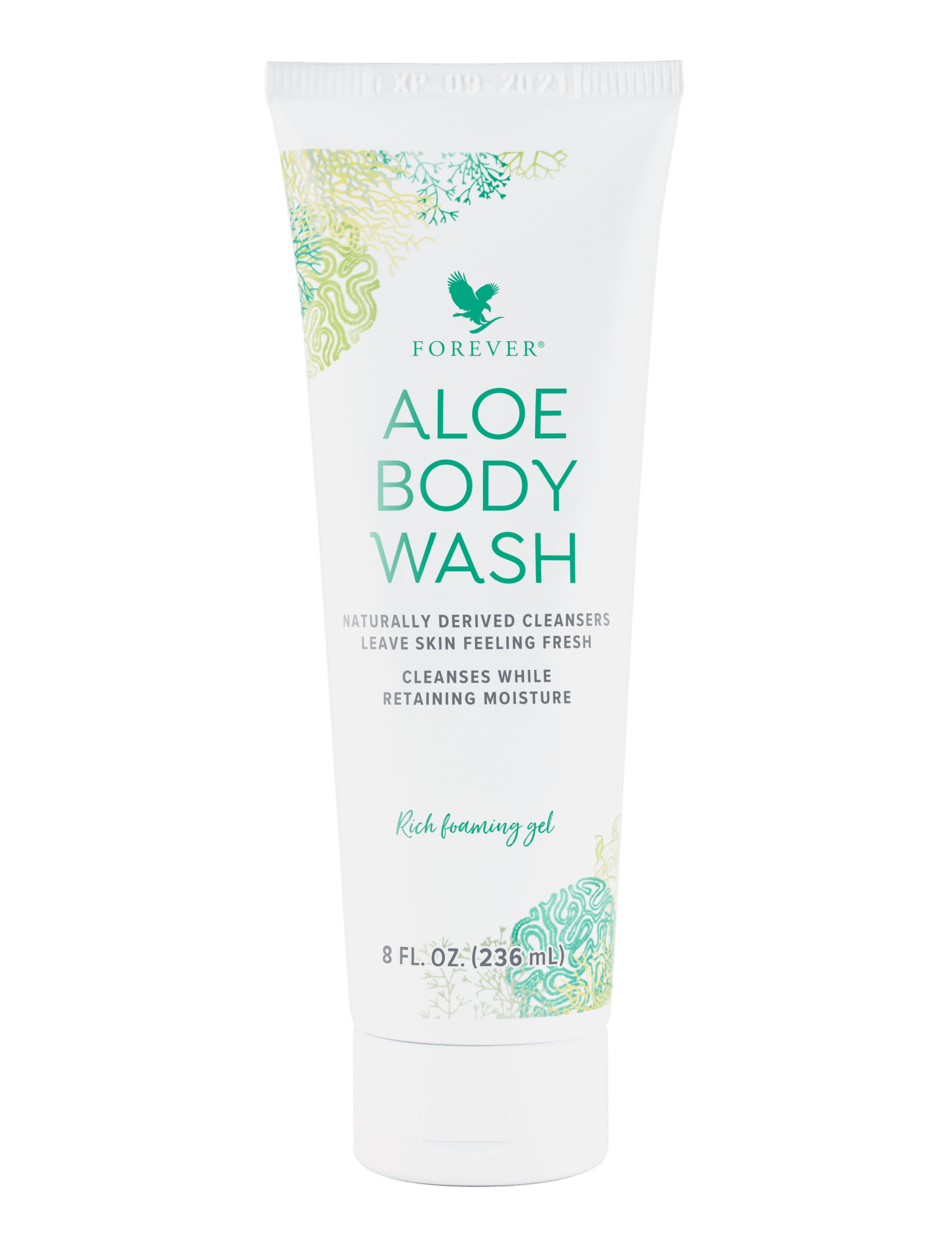 646_AloeBody Wash